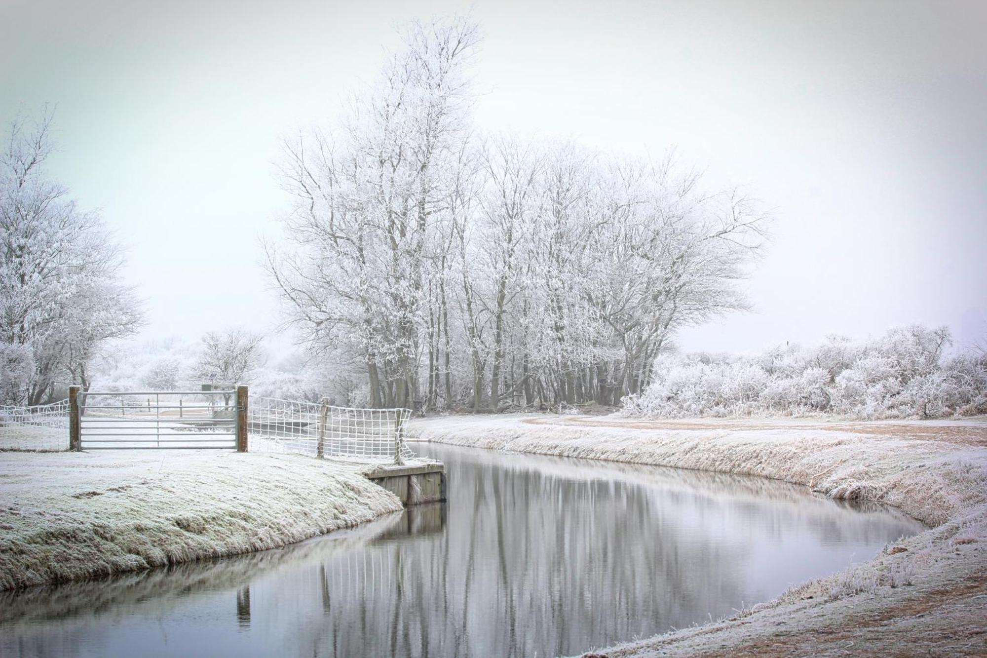 Bed and Breakfast Duin-Vliet Bentveld Exterior foto